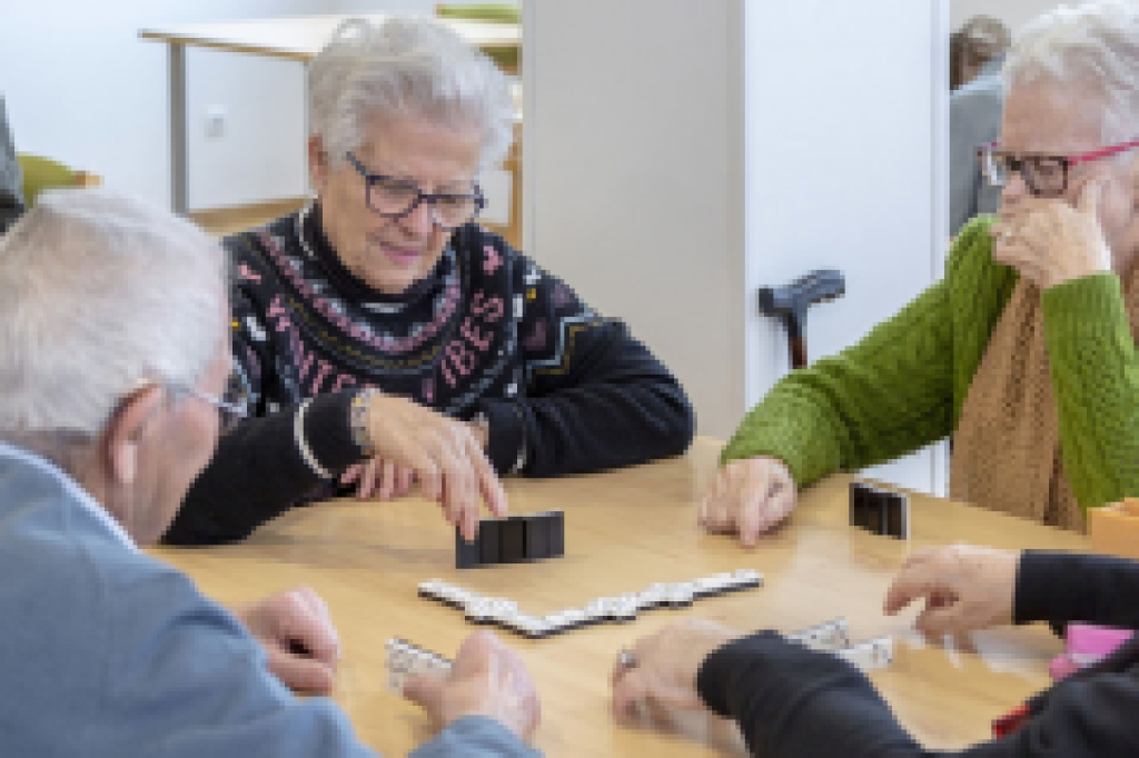 Centro de día El Enebral
